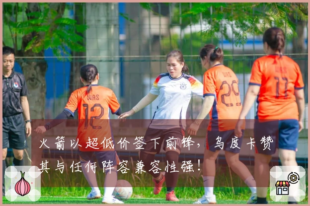 火箭以超低价签下前锋，乌度卡赞其与任何阵容兼容性强！