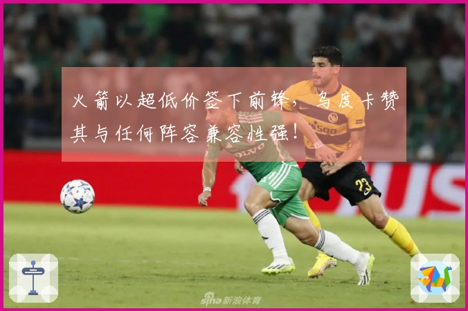 火箭以超低价签下前锋，乌度卡赞其与任何阵容兼容性强！