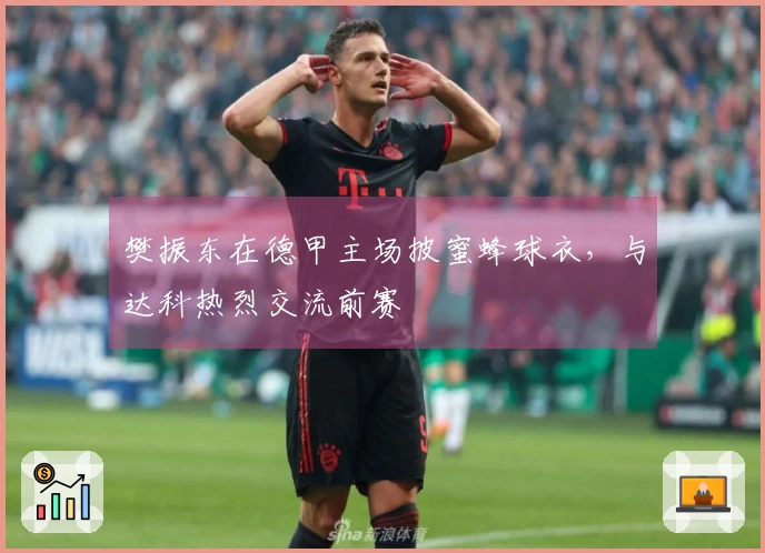 樊振东在德甲主场披蜜蜂球衣，与达科热烈交流前赛